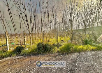 Foto 5 - Terreno agricolo pietroluongo, Sant'Antimo - foto 5