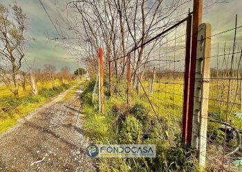 Foto 7 - Terreno agricolo pietroluongo, Sant'Antimo - foto 7