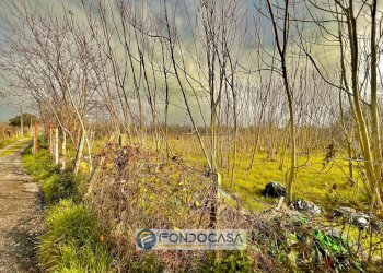 Foto 8 - Terreno agricolo pietroluongo, Sant'Antimo - foto 8