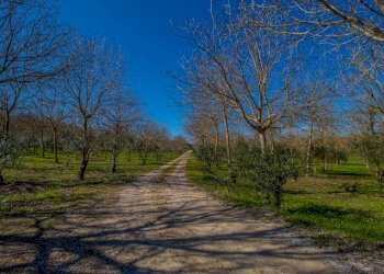 Foto 56 - Villa strada provinciale 24 noto
 
snc, Noto - foto 56