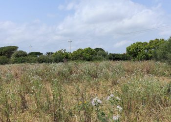 Foto 8 - Terreno edificabile via isola
 
snc, Siracusa - foto 8