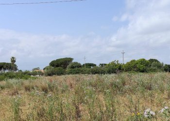 Foto 10 - Terreno edificabile via isola
 
snc, Siracusa - foto 10