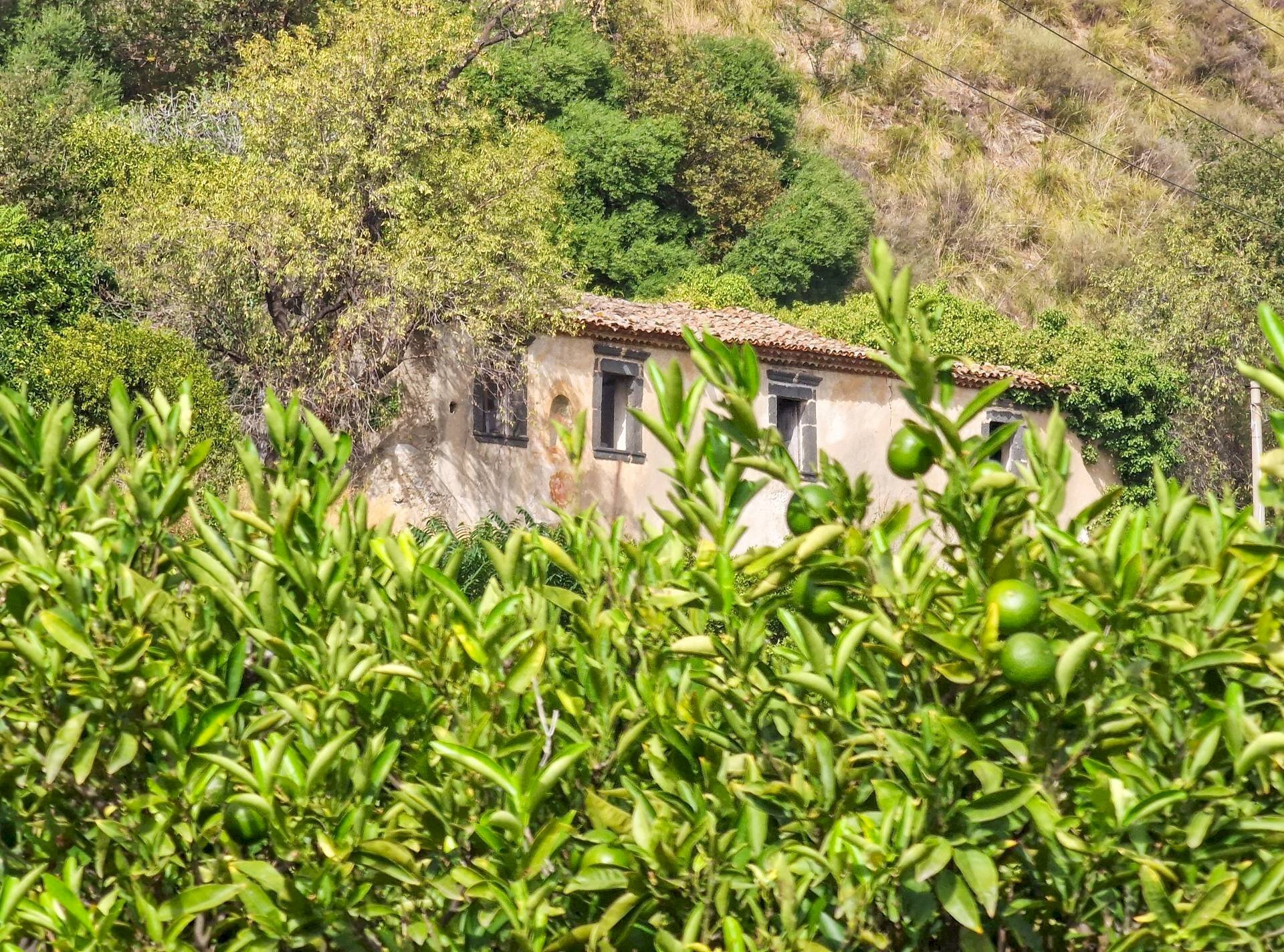 Foto 3 - Rustic strada provinciale 81
 
snc, Castiglione di Sicilia - photo 3