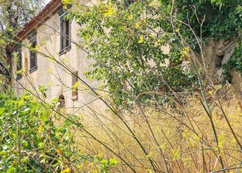 Foto 5 - Rustic strada provinciale 81
 
snc, Castiglione di Sicilia - photo 5