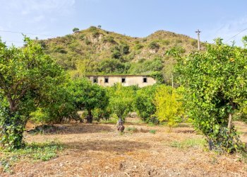 Foto 6 - Rustic strada provinciale 81
 
snc, Castiglione di Sicilia - photo 6