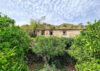 Foto 9 - Rustic strada provinciale 81
 
snc, Castiglione di Sicilia - photo 9