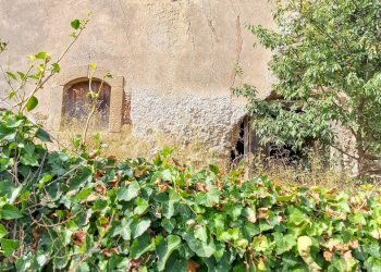 Foto 11 - Rustic strada provinciale 81
 
snc, Castiglione di Sicilia - photo 11