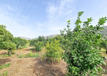 Foto 14 - Rustic strada provinciale 81
 
snc, Castiglione di Sicilia - photo 14