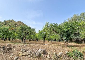 Foto 16 - Rustic strada provinciale 81
 
snc, Castiglione di Sicilia - photo 16