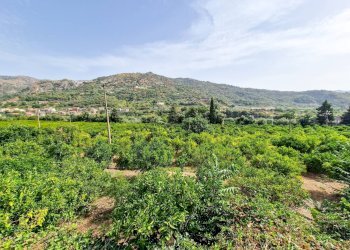 Foto 18 - Rustic strada provinciale 81
 
snc, Castiglione di Sicilia - photo 18