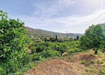 Foto 21 - Rustic strada provinciale 81
 
snc, Castiglione di Sicilia - photo 21