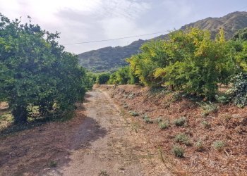 Foto 24 - Rustic strada provinciale 81
 
snc, Castiglione di Sicilia - photo 24