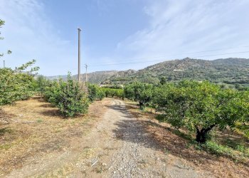 Foto 25 - Rustic strada provinciale 81
 
snc, Castiglione di Sicilia - photo 25