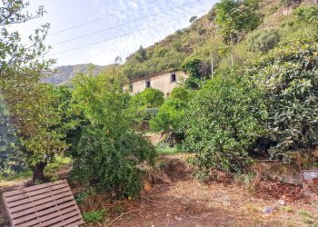 Foto 26 - Rustic strada provinciale 81
 
snc, Castiglione di Sicilia - photo 26