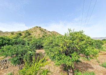 Foto 29 - Rustic strada provinciale 81
 
snc, Castiglione di Sicilia - photo 29