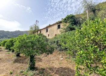 Foto 30 - Rustic strada provinciale 81
 
snc, Castiglione di Sicilia - photo 30