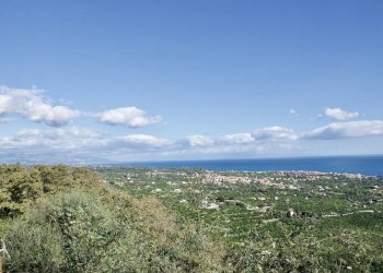 Foto 8 - Terreno agricolo strada statale 114
snc, Acireale - foto 8