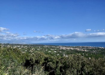 Foto 9 - Terreno agricolo strada statale 114
snc, Acireale - foto 9