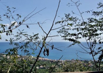 Foto 15 - Terreno agricolo strada statale 114
snc, Acireale - foto 15