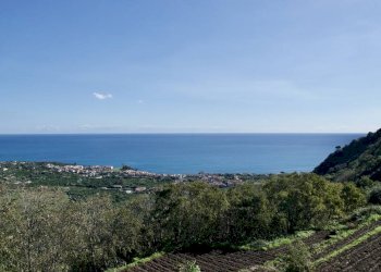 Foto 19 - Terreno agricolo strada statale 114
snc, Acireale - foto 19