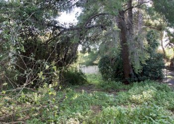 Foto 23 - Terreno agricolo strada statale 114
snc, Acireale - foto 23