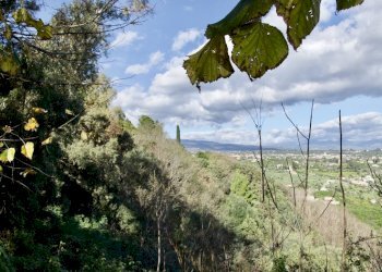 Foto 25 - Terreno agricolo strada statale 114
snc, Acireale - foto 25