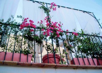 Foto 29 - Casa indipendente via castelletti, Modica - foto 29