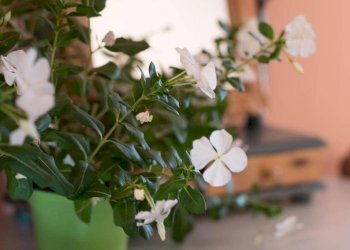 Foto 9 - Villa Contrada Catteto
 
snc, Scicli - foto 9