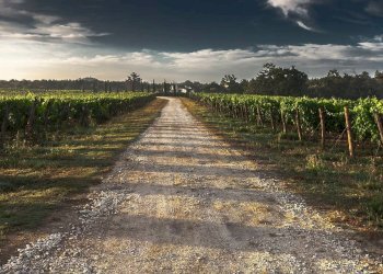 Foto 5 - Azienda agricola strada provinciale 50, Noto - foto 5