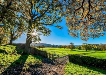 Foto 7 - Azienda agricola strada provinciale 50, Noto - foto 7