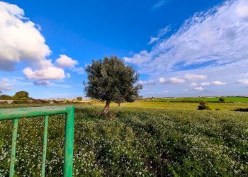 Foto 24 - Rustico Strada provinciale 14
 
snc, Ragusa - foto 24