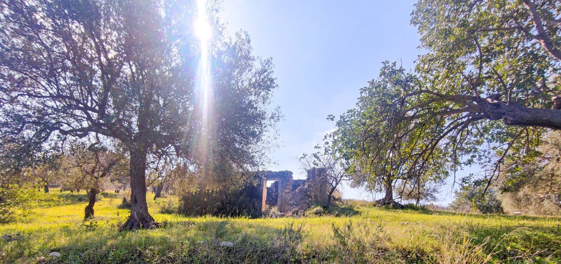 Foto 2 - Rustic Strada Statale 115
 
snc, Noto - photo 2