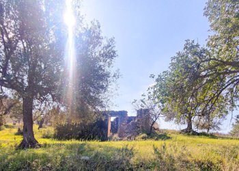 Foto 2 - Rustico Strada Statale 115
 
snc, Noto - foto 2