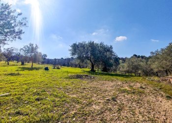 Foto 6 - Rustico Strada Statale 115
 
snc, Noto - foto 6