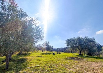 Foto 8 - Rustico Strada Statale 115
 
snc, Noto - foto 8