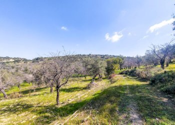 Foto 10 - Rustico Strada Statale 115
 
snc, Noto - foto 10