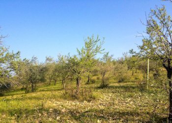 Foto 11 - Rustico Strada Statale 115
 
snc, Noto - foto 11