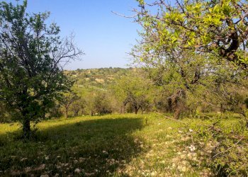 Foto 14 - Rustico Strada Statale 115
 
snc, Noto - foto 14