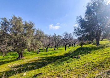 Foto 15 - Rustico Strada Statale 115
 
snc, Noto - foto 15