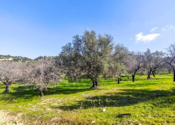 Foto 16 - Rustico Strada Statale 115
 
snc, Noto - foto 16