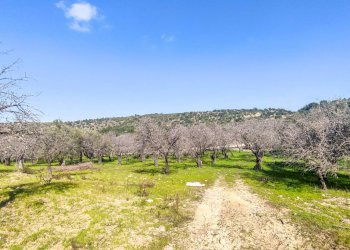 Foto 17 - Rustico Strada Statale 115
 
snc, Noto - foto 17