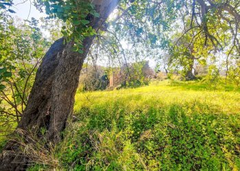 Foto 18 - Rustico Strada Statale 115
 
snc, Noto - foto 18