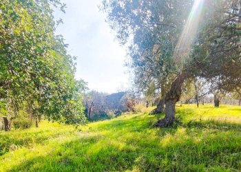 Foto 19 - Rustico Strada Statale 115
 
snc, Noto - foto 19