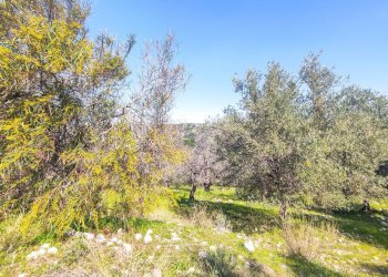 Foto 20 - Rustico Strada Statale 115
 
snc, Noto - foto 20