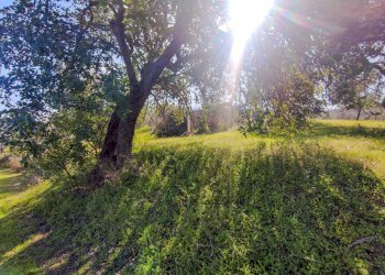 Foto 21 - Rustico Strada Statale 115
 
snc, Noto - foto 21