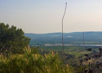 Foto 22 - Rustico Strada Statale 115
 
snc, Noto - foto 22