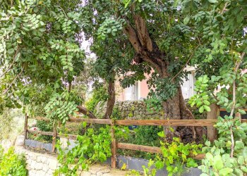 Foto 4 - Villa Via villa Barco
 
snc, Modica - foto 4