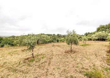 Foto 34 - Villa Via villa Barco
 
snc, Modica - foto 34