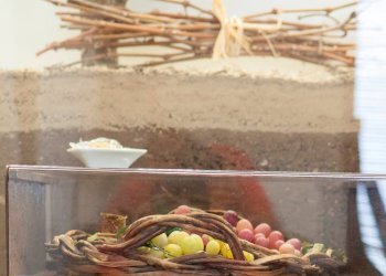 Foto 17 - Hotel contrada favara
 
snc, Ispica - foto 17