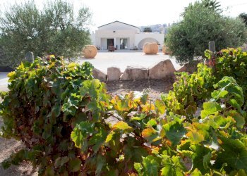 Foto 18 - Hotel contrada favara
 
snc, Ispica - foto 18